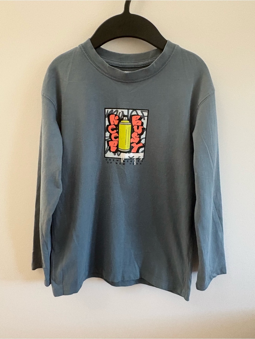 Zara Boys Slate Blue Long Sleeve Tee with Graphic